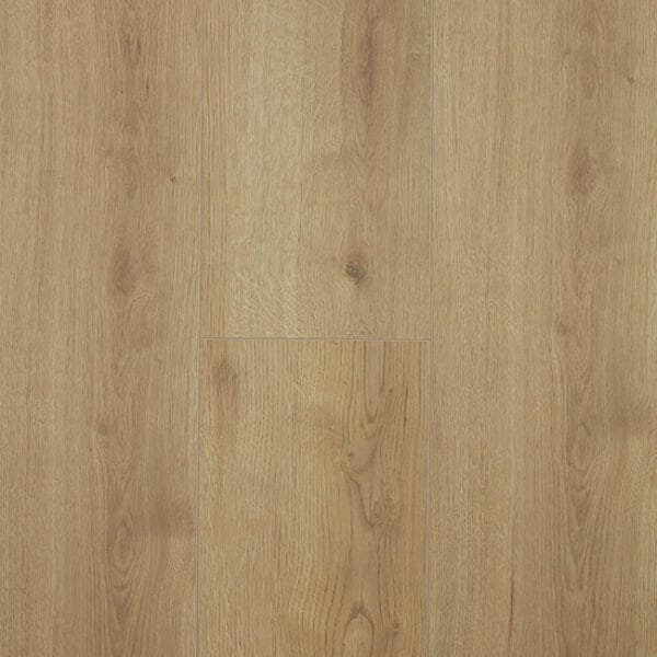 Oak Adaja
