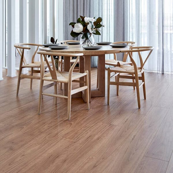 Blackbutt - Image 2