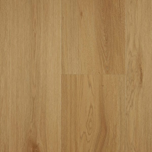 Mountain Oak